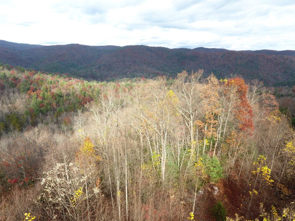 REDUCED*******LARGE TRACT OF MOUNTAIN LAND WESTERN NORTH CAROLINA FOR